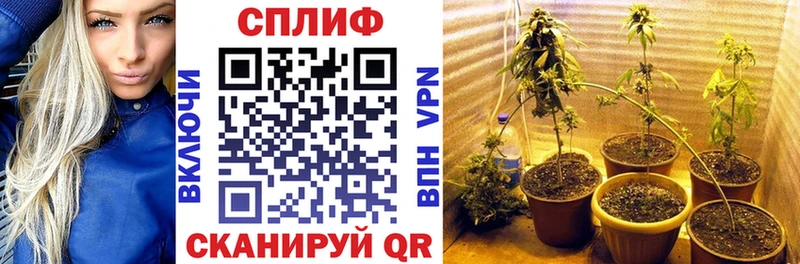 Марихуана THC 21% Новое Девяткино